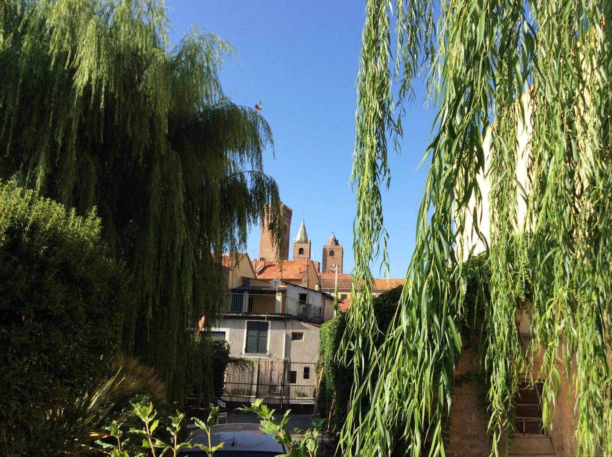 Villa Marlene B&B Albenga Extérieur photo